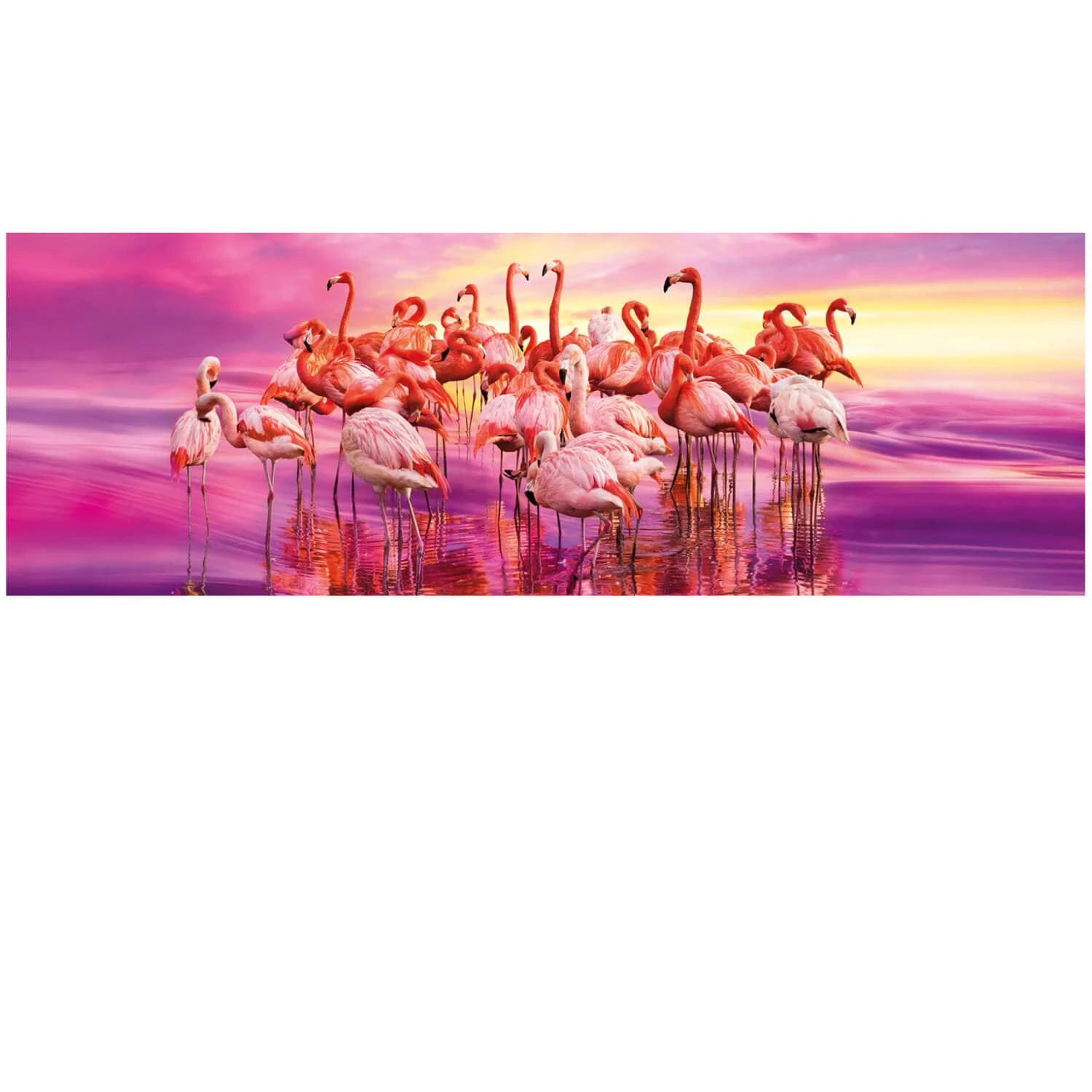 Clementoni High Quality Panaroma Jigsaw Puzzle Flamingo Dance 1000 Pieces - Image 2