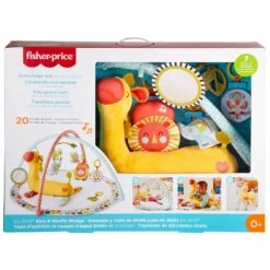 Fisher Price Go Wild Gym & Giraffe Wedge Mat Music Light
