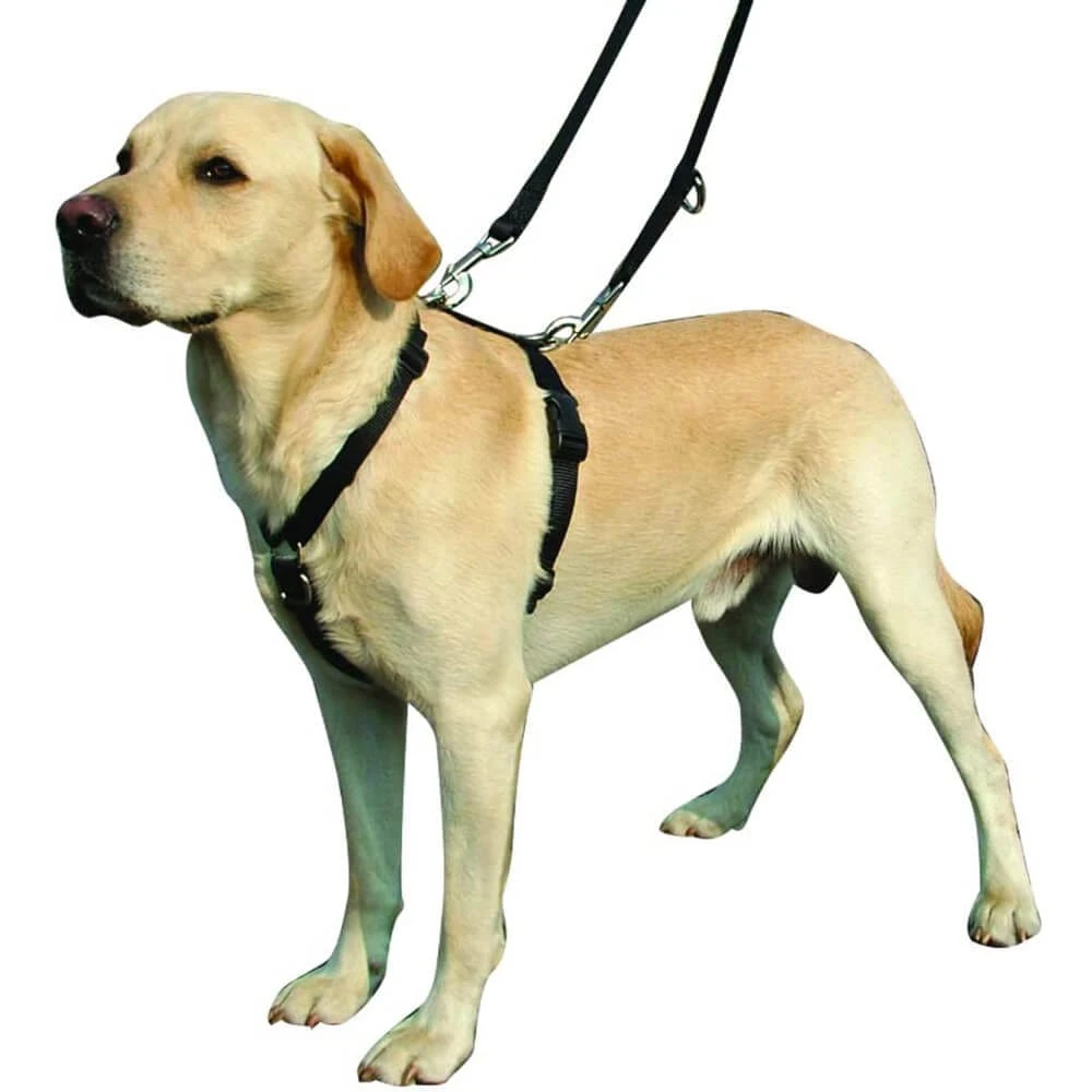 Kumfi Complete Control Harness For Dogs Safety Restraint - Image 4