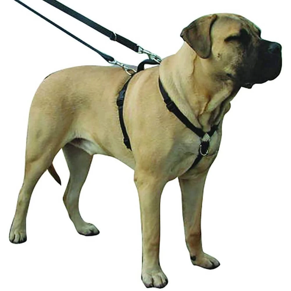 Kumfi Complete Control Harness For Dogs Safety Restraint - Image 6