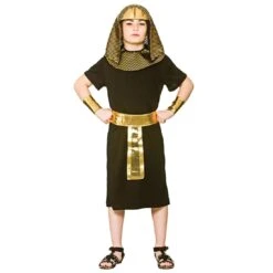 Boys Egyptian Pharaoh King Gold Black Halloween Costume